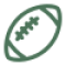 icons8-football-50 icons8-football-50