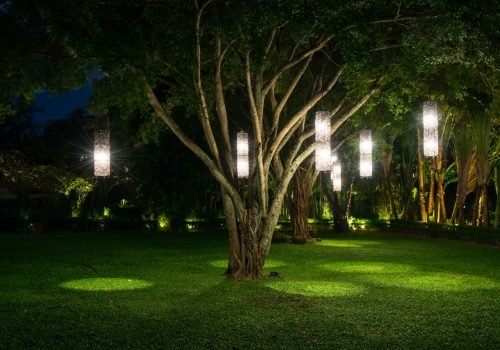 tree-with-lamp-lighting